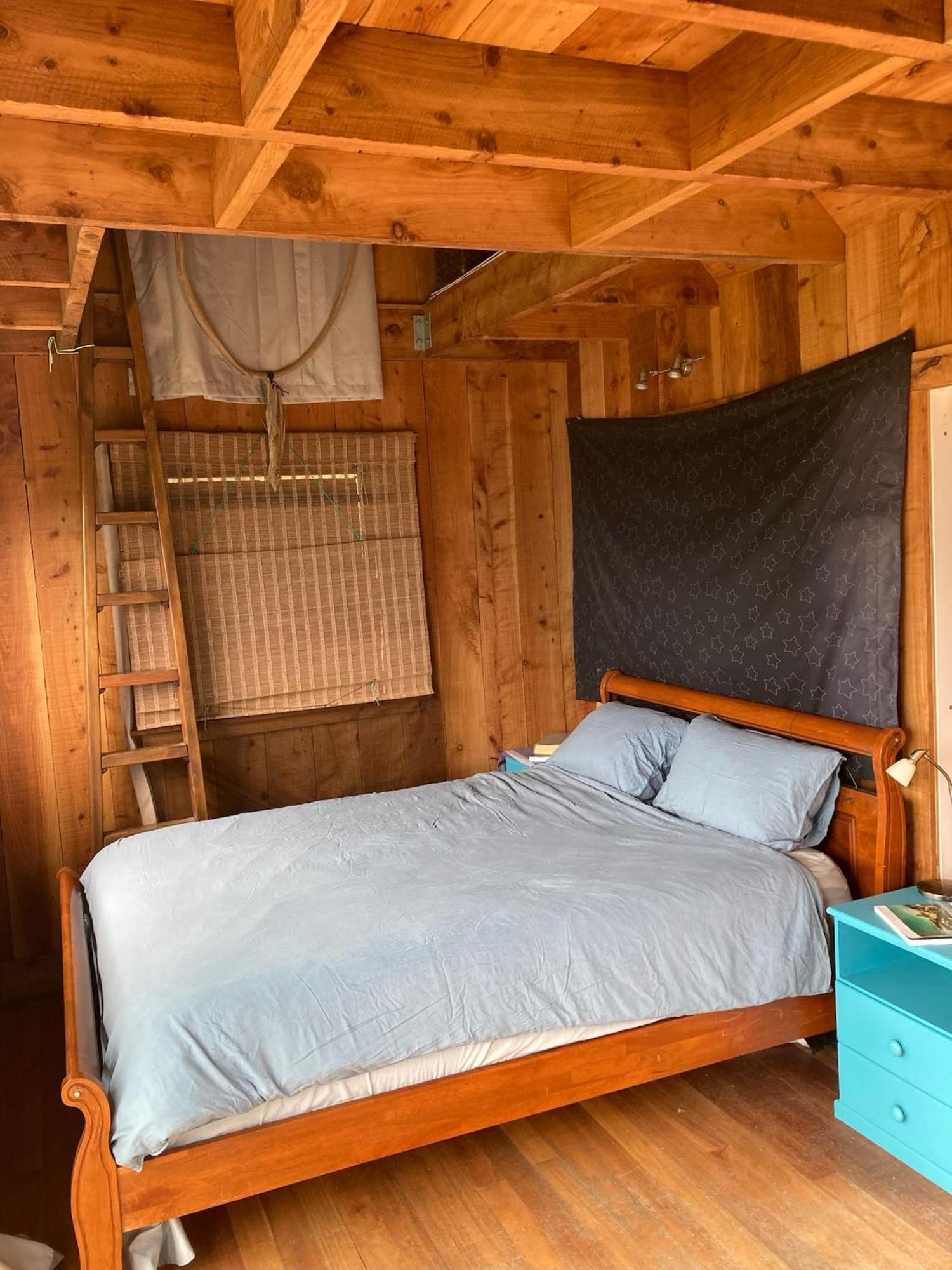Kereru Cabin - Spectacular Seaviews, Rustic, Glamping Eco Adventure Palm Beach Exterior foto